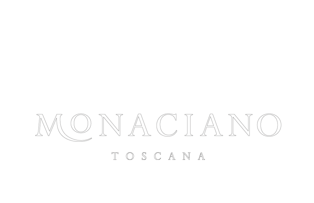 Terra Vagliagli Associazione Produttori Chianti Classico Toscana Italia Vino