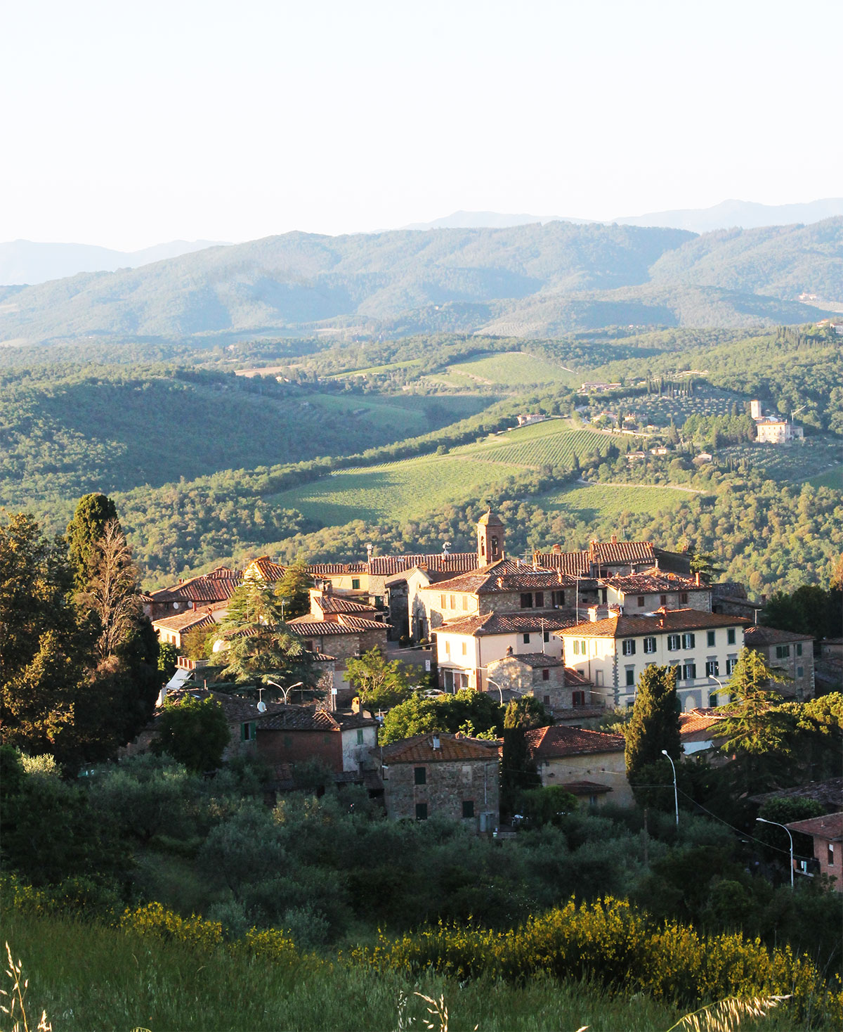 Terra Vagliagli Associazione Produttori Chianti Classico Toscana Italia Vino