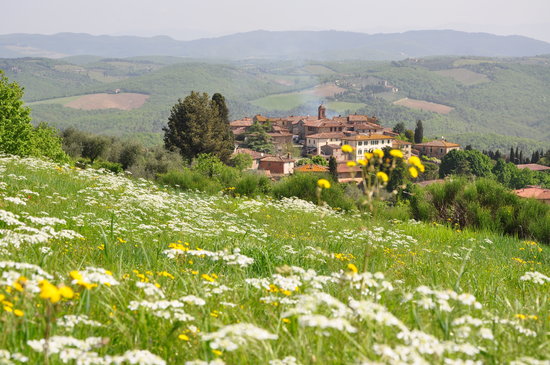 Terra Vagliagli Associazione Produttori Chianti Classico Toscana Italia Vino