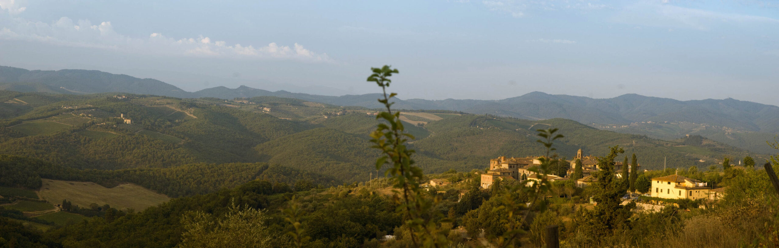 Terra Vagliagli Associazione Produttori Chianti Classico Toscana Italia Vino