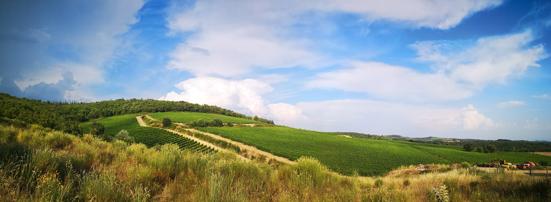 Terra Vagliagli Associazione Produttori Chianti Classico Toscana Italia Vino